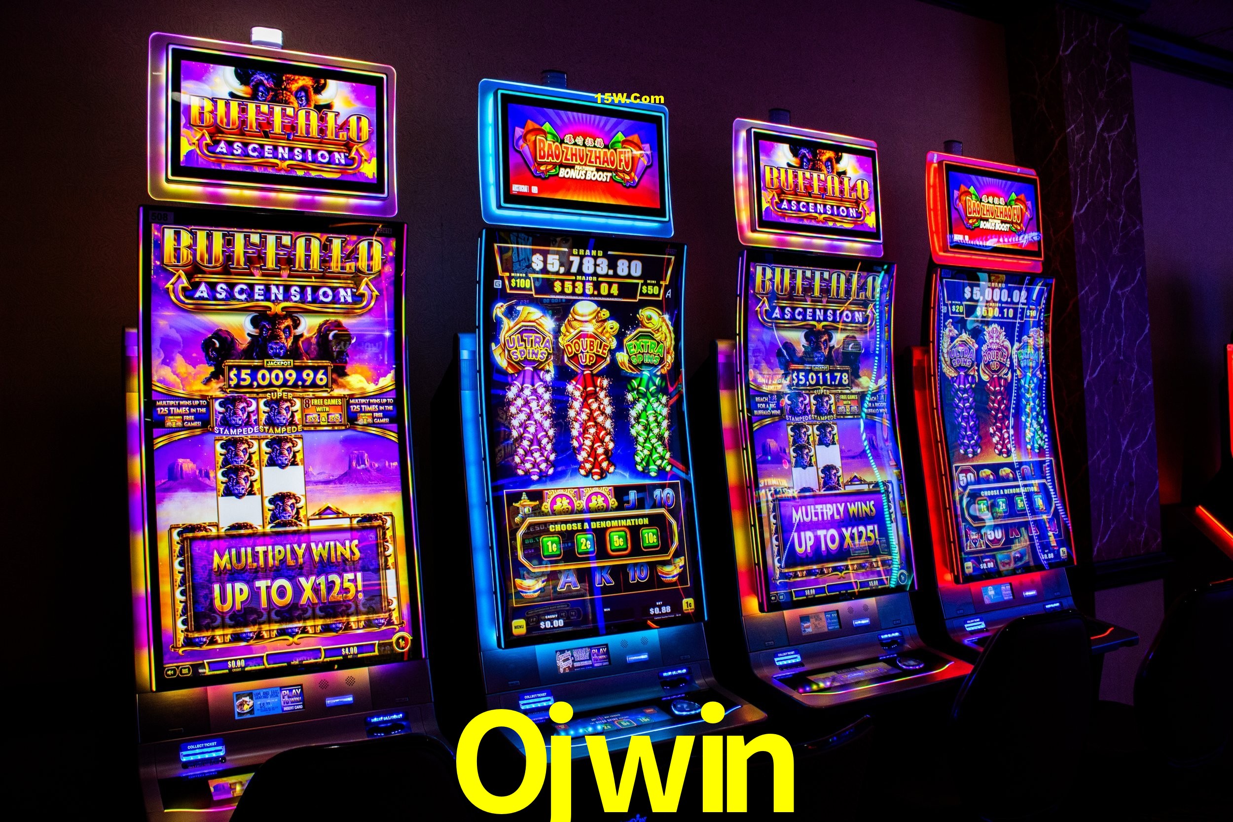 Bonus Features Ojwin